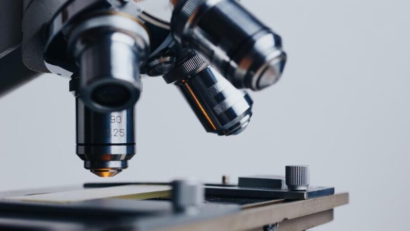 Terapie genowe w leczeniu chorób neurologicznych