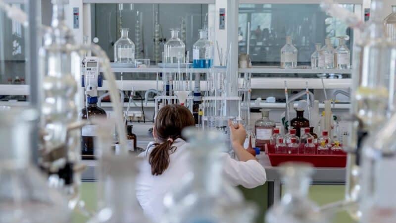 Rola mikrobiomu w zdrowiu mózgu: Jak mikroflora jelitowa wpływa na naszą psychikę i funkcje poznawcze