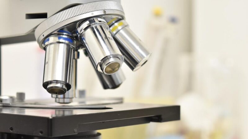 Czy można zatrzymać Parkinsona? Nowe odkrycia i nadzieja dla pacjentów