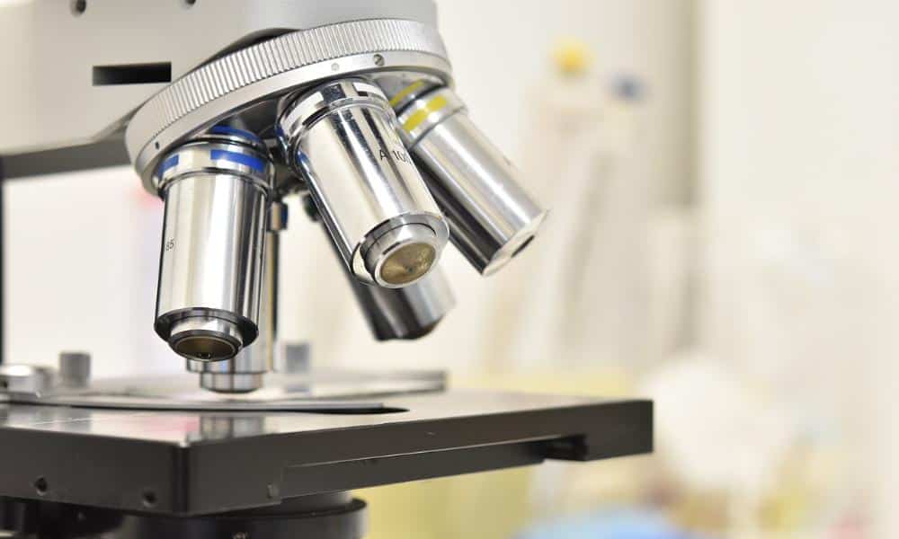 Czy można zatrzymać Parkinsona? Nowe odkrycia i nadzieja dla pacjentów