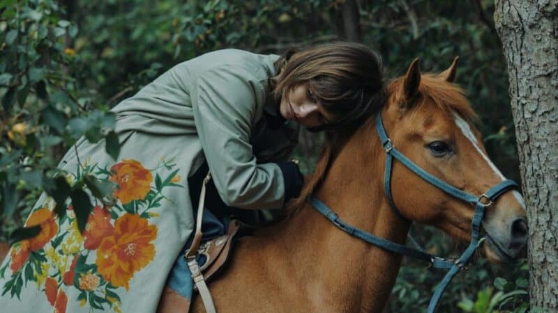 Jak wygląda dzień w stajni?